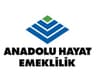 Anadolu Hayat Emeklilik logo